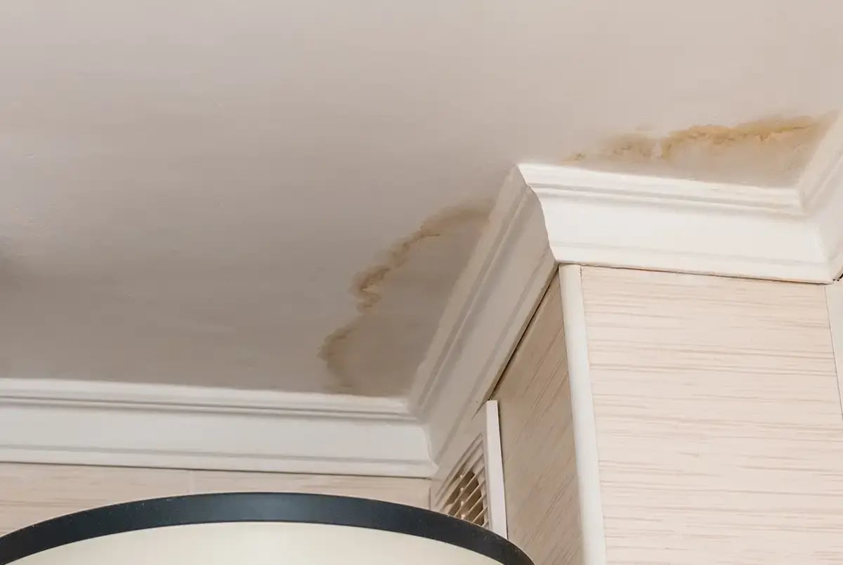 Water Damage