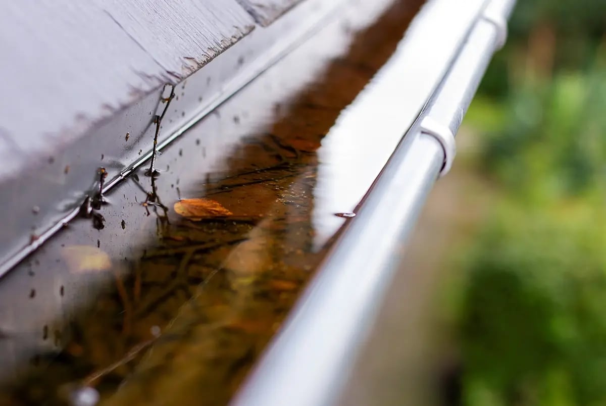 clogged gutters