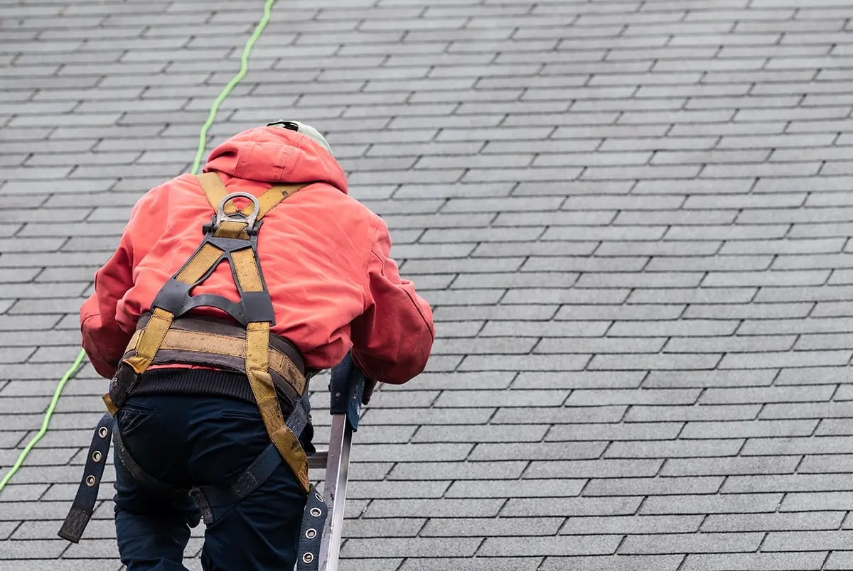 roof maintenance